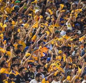 Los tres aficionados de Tigres que presuntamente agredieron a un hombre al interior del Estadio Universitario fueron liberados, pero seguirá la investigación.