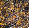 Los tres aficionados de Tigres que presuntamente agredieron a un hombre al interior del Estadio Universitario fueron liberados, pero seguirá la investigación.