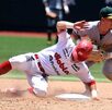 jugadores de beisbol pericos de puebla y diablos rojos