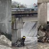 Perro rescatado de corriente tras lluvias en San Pedro Garza García. / PC San Pedro