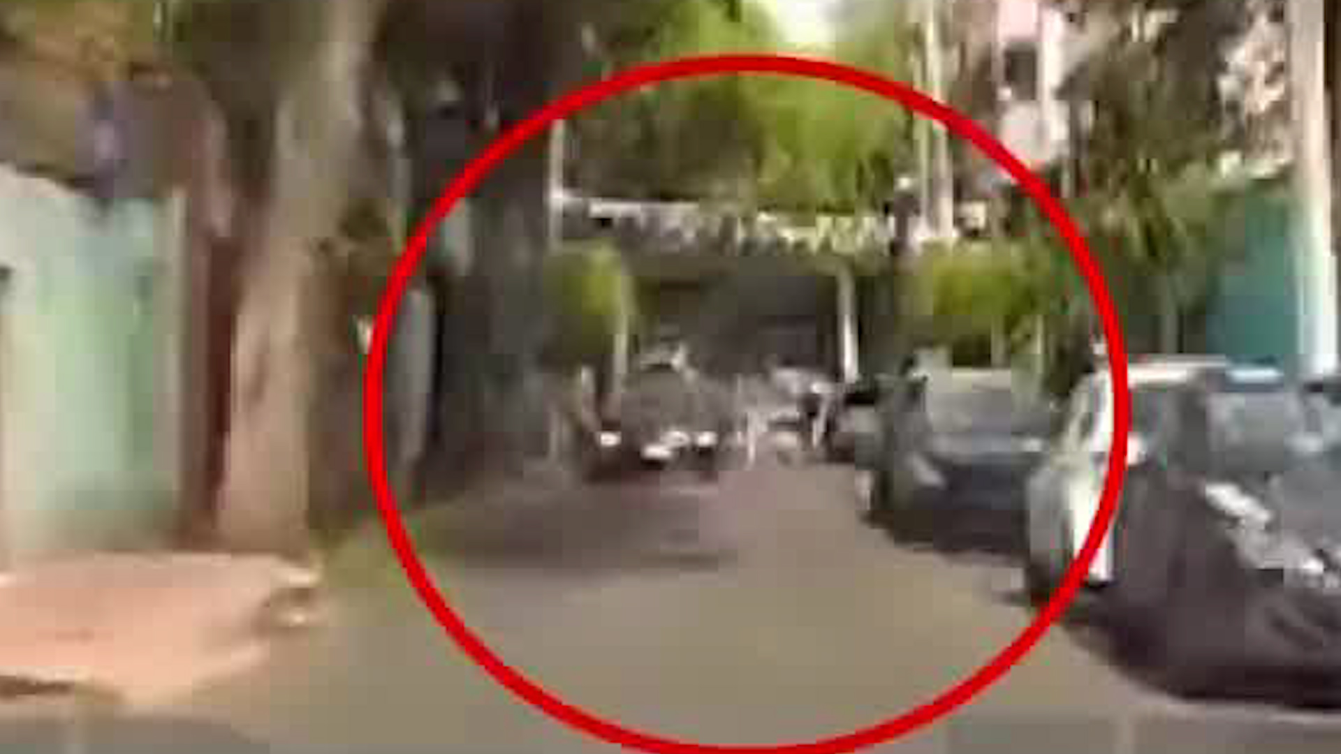 Autoridades aseguran que el detenido, asesino de la joven, ya había sido recluido por el delito de robo hace un par de meses.