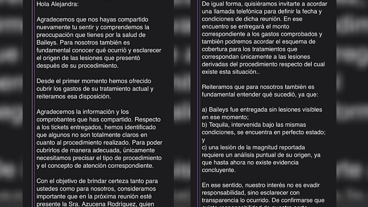 Respuesta de sobre perrita Baileys