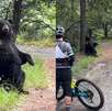 Oso captado en Parque Chipinque