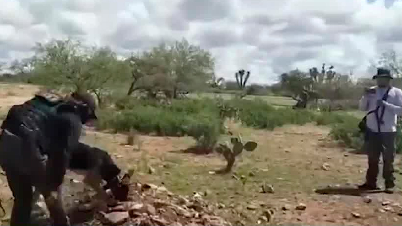La Fiscalía de Zacatecas informó sobre el hallazgo de restos humanos, prendas de vestir, cobijas y casquillos de arma larga en Valparaíso.