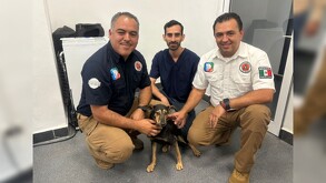 Rescatistas de perrito en San Pedro