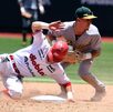 jugadores de beisbol pericos de puebla y diablos rojos jugadores de beisbol pericos de puebla y diablos rojos