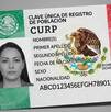 La CURP con datos biométricos es ya obligatoria en México. Conoce quiénes deben tramitarla primero, los trámites que la exigirán y dónde se saca. La CURP con datos biométricos es ya obligatoria en México. Conoce quiénes deben tramitarla primero, los trámites que la exigirán y dónde se saca.