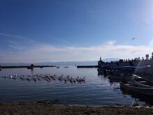 Chapala Presa Solís