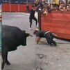 un toro en una calle con varias personas un toro en una calle con varias personas