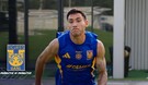 Entérate de las últimas noticias de Tigres HOY 25 de agosto.