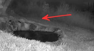 Webcams de México se encuentra en distintas partes del país. / Especial