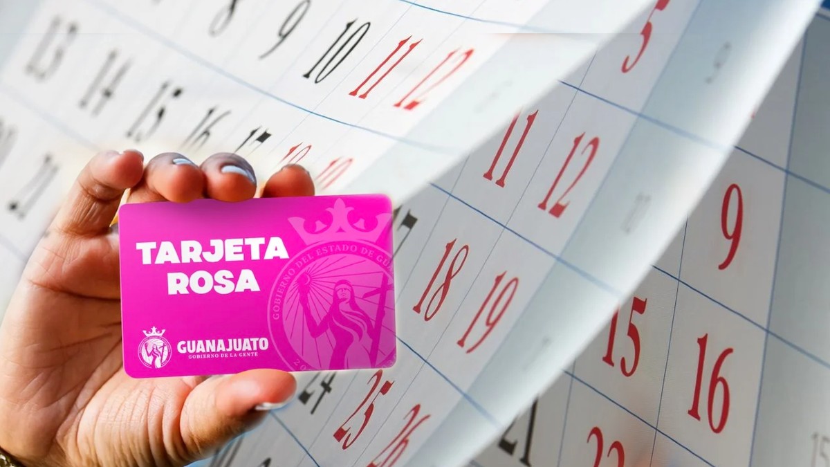 Mujeres de entre 25 y 45 años de edad, madres de familia, y originarias de Guanajuato, se han visto beneficiadas por el programa de la Tarjeta Rosa. Mujeres de entre 25 y 45 años de edad, madres de familia, y originarias de Guanajuato, se han visto beneficiadas por el programa de la Tarjeta Rosa.