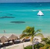 Si tu plan es disfrutar de unas vacaciones en Cancún, a continuación te decimos cuáles son las mejores opciones de playas libres de sargazo.