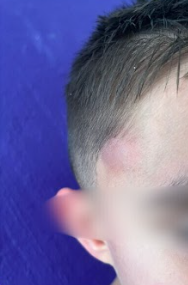 Alertan sobre posibles actos de tortura a niños autistas en Guadalajara por parte de un centro de educación especial privado Alertan sobre posibles actos de tortura a niños autistas en Guadalajara por parte de un centro de educación especial privado