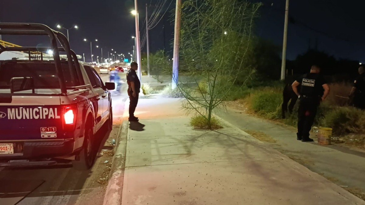 El animal fue canalizado a asociaciones protectoras, quienes se harán cargo de su atención y recuperación El animal fue canalizado a asociaciones protectoras, quienes se harán cargo de su atención y recuperación