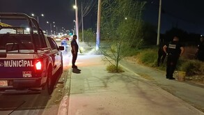 El animal fue canalizado a asociaciones protectoras, quienes se harán cargo de su atención y recuperación