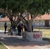 Una mujer fue hallada gravemente herida en calles de Tehuacán, Puebla. Presuntamente fue agredida con tabiques. Autoridades investigan el brutal hecho. Una mujer fue hallada gravemente herida en calles de Tehuacán, Puebla. Presuntamente fue agredida con tabiques. Autoridades investigan el brutal hecho.
