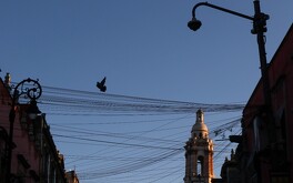 El Sismológico Nacional reporta todos los sismos ocurridos en México.