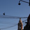 El Sismológico Nacional reporta todos los sismos ocurridos en México. El Sismológico Nacional reporta todos los sismos ocurridos en México.