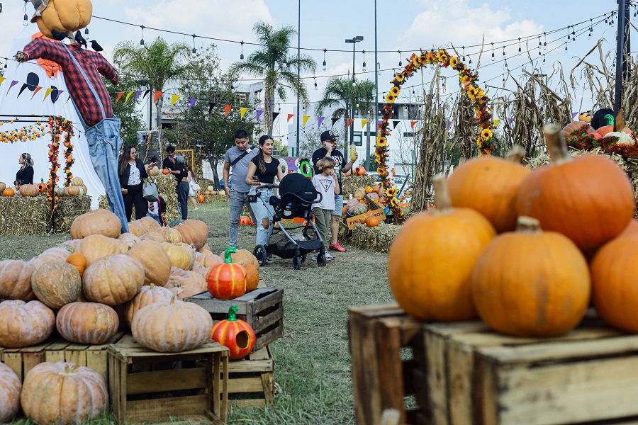 Pumpkin Zone Puebla llegará desde octubre a Downtown de Lomas de Angelópolis, siendo su entrada gratuita uno de sus más grandes atractivos. Pumpkin Zone Puebla llegará desde octubre a Downtown de Lomas de Angelópolis, siendo su entrada gratuita uno de sus más grandes atractivos.