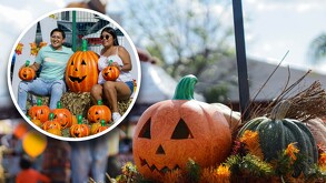 Pumpkin Zone Puebla llegará desde octubre a Downtown de Lomas de Angelópolis, siendo su entrada gratuita uno de sus más grandes atractivos.