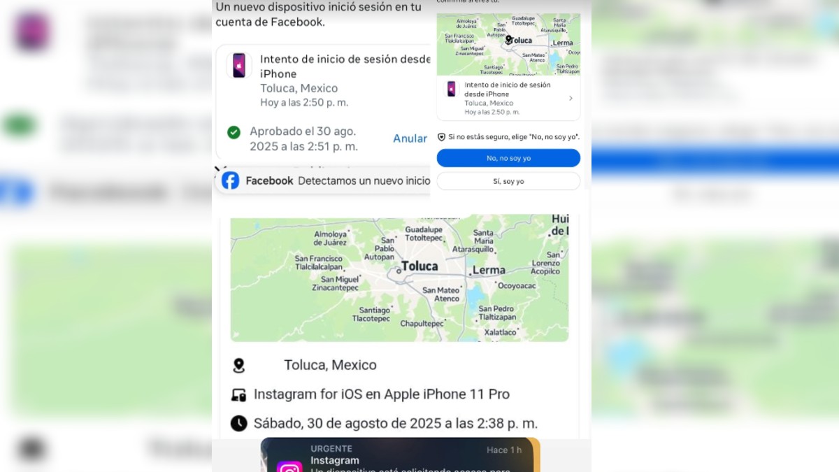 Intento de inicio de sesión en las redes sociales de Alicia Villarreal