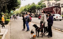 El Sismológico Nacional reporta todos los sismos ocurridos en México.