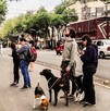 El Sismológico Nacional reporta todos los sismos ocurridos en México. El Sismológico Nacional reporta todos los sismos ocurridos en México.