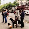 El Sismológico Nacional reporta todos los sismos ocurridos en México. El Sismológico Nacional reporta todos los sismos ocurridos en México.