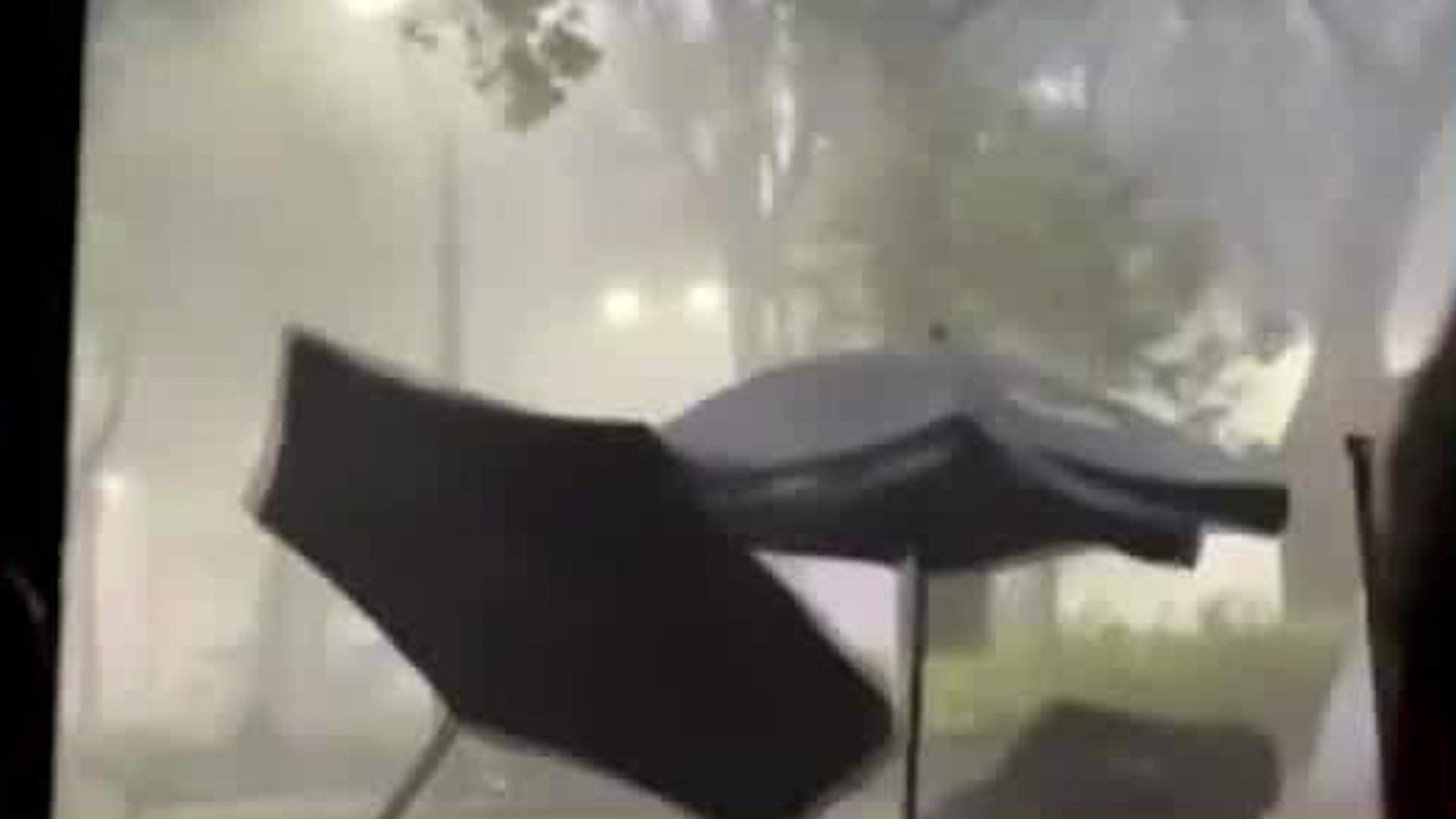 Las fuertes lluvias que cayeron en la Ciudad de México provocaron diversas afectaciones como inundaciones y árboles caídos.