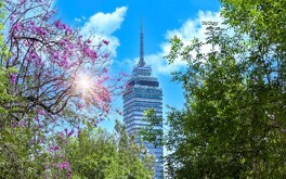 Consulta si hay contingencia ambiental en Ciudad de México este miércoles.