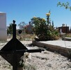 En Guanajuato el crimen organizado ya comienza a replicar un ‘modus operandi’ para desaparecer cuerpos, ahora están utilizando panteones para que no haya rastro En Guanajuato el crimen organizado ya comienza a replicar un ‘modus operandi’ para desaparecer cuerpos, ahora están utilizando panteones para que no haya rastro
