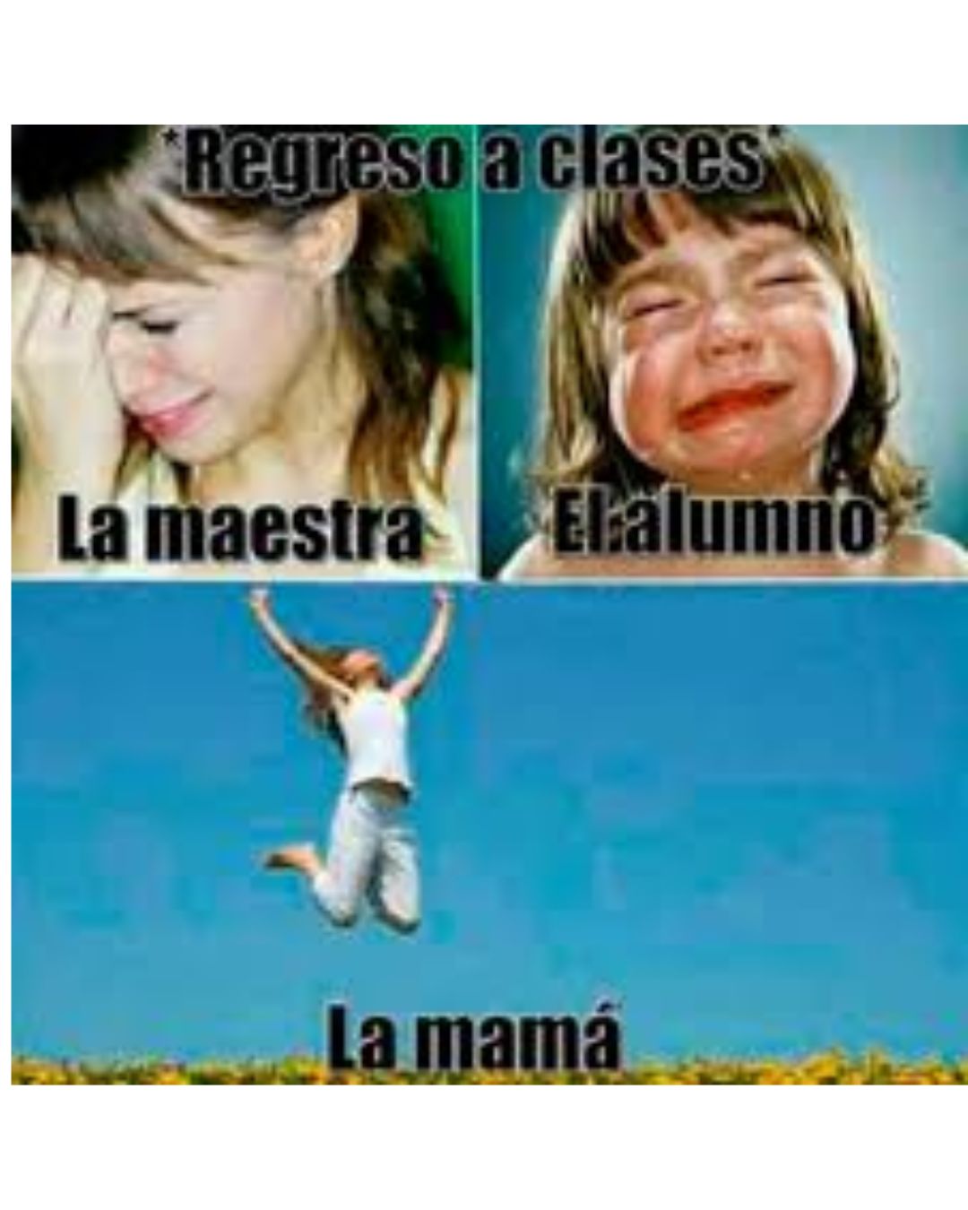 En TELEDIARIO hicimos una selección con los mejores memes para darle la bienvenida al ciclo escolar 2025-2026, míralos y dinos cuál es tu favorito. En TELEDIARIO hicimos una selección con los mejores memes para darle la bienvenida al ciclo escolar 2025-2026, míralos y dinos cuál es tu favorito.
