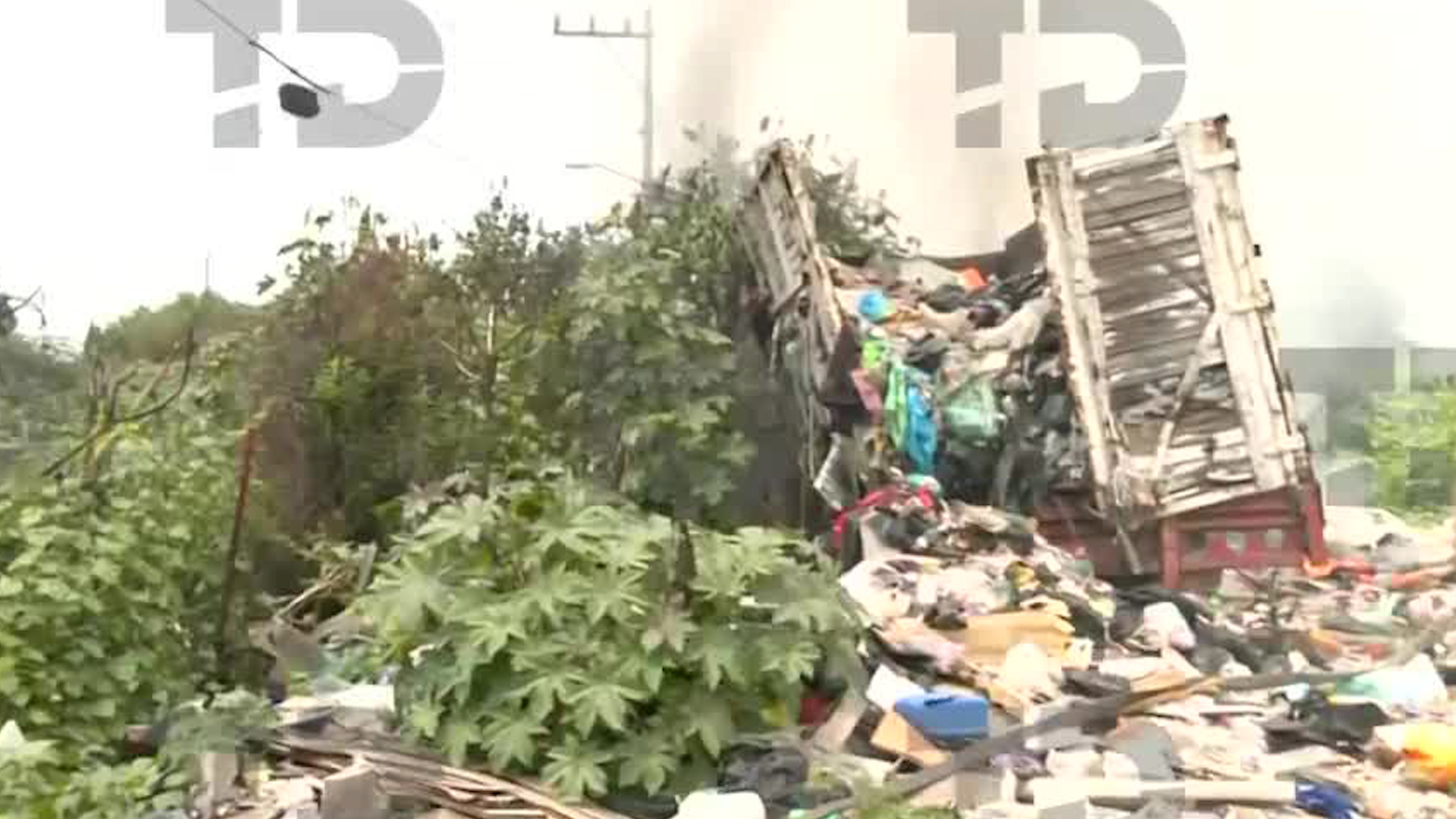 Personal del cuerpo de bomberos trabajan para apagar fuego en la Colonia Magisterial 2000, pues temen que avance con velocidad.