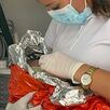 Tras la atención inicial, fueron trasladadas al Hospital Universitario para recibir cuidados especializados. Tras la atención inicial, fueron trasladadas al Hospital Universitario para recibir cuidados especializados.