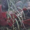 Una mujer de 25 años, identificada como Érika Lizbeth Pacheco Rosas, falleció este miércoles a causa de las graves heridas sufridas en un accidente vial.