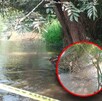 Por usos y costumbres, los familiares de Oliver y Arianne no permitieron que los cuerpos fueran llevados al Semefo de la ciudad para la necropsia de ley. Por usos y costumbres, los familiares de Oliver y Arianne no permitieron que los cuerpos fueran llevados al Semefo de la ciudad para la necropsia de ley.