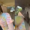 Mujer choca tras ir cantando. Mujer choca tras ir cantando.