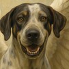 El animal, considerado parte de la familia afectada, murió al día siguiente debido a la gravedad de las heridas. El animal, considerado parte de la familia afectada, murió al día siguiente debido a la gravedad de las heridas.