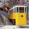 Accidente transporte Portugal