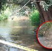 Por usos y costumbres, los familiares de Oliver y Arianne no permitieron que los cuerpos fueran llevados al Semefo de la ciudad para la necropsia de ley. Por usos y costumbres, los familiares de Oliver y Arianne no permitieron que los cuerpos fueran llevados al Semefo de la ciudad para la necropsia de ley.
