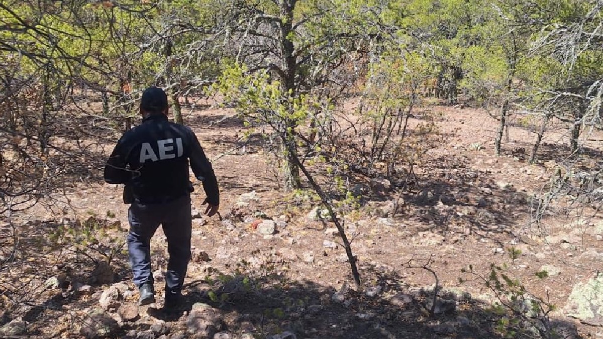 La Fiscalía informó que hasta el momento se han identificado 58 cuerpos en “El Willy” y dos más en el municipio de Ascensión La Fiscalía informó que hasta el momento se han identificado 58 cuerpos en “El Willy” y dos más en el municipio de Ascensión