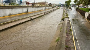 Vecinos de la colonia Las Arboledas se percataron de que corría peligro y alertaron a las autoridades.