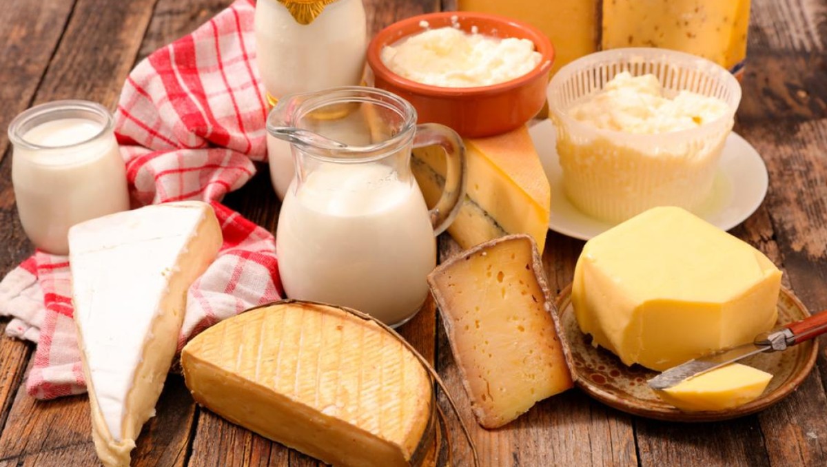 La diferencia entre la leche y los productos lácteos radica principalmente en su composición y procesamiento. AQUÍ te contamos más.
