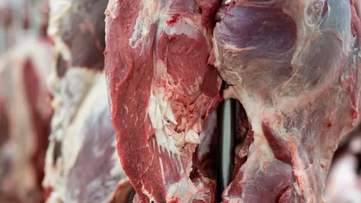 También insiste en mantener la cadena de frío y evitar la contaminación cruzada en casa para conservar el alimento en óptimas condiciones. También insiste en mantener la cadena de frío y evitar la contaminación cruzada en casa para conservar el alimento en óptimas condiciones.