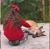 Perrito atacado Tonalá