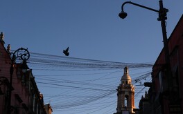 El Sismológico Nacional reporta todos los sismos ocurridos en México.