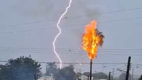 La escena causó sorpresa entre los habitantes de la zona