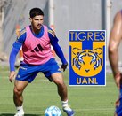 El mediocampista sudamericano se ha afianzado en la defensa central de los felinos desde que Guido Pizarro es el director técnico.