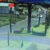 A través de videos compartidos en redes sociales se observa cómo la gente trata de ayudar a los pasajeros que quedaron atrapados dentro del camión.